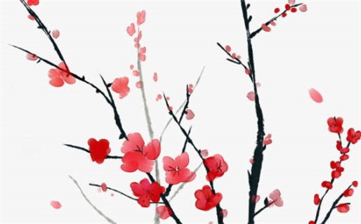 2029年12月06日出行黄历查询