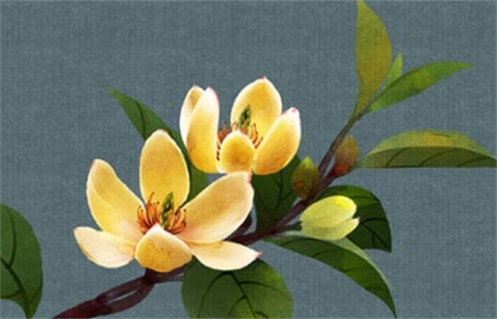 2026年04月15日出行黄历查询