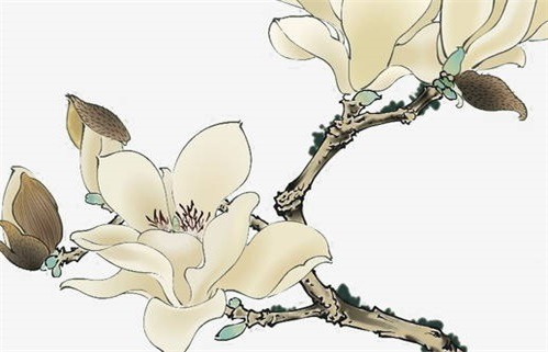 2041年09月23日出行黄历查询 2041年09月23日出行黄历查询