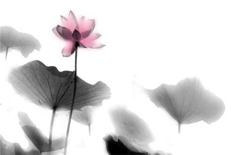 2029年08月19日出行黄历查询