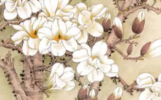 2027年9月20日出行指南：不宜日的活动与注意事项大全