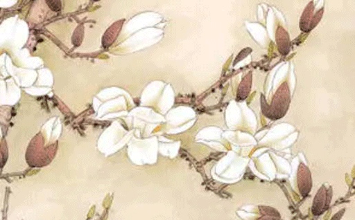 2026年05月15日出行黄历查询