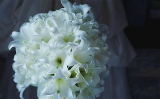 君纹女孩命运解析与人生启示