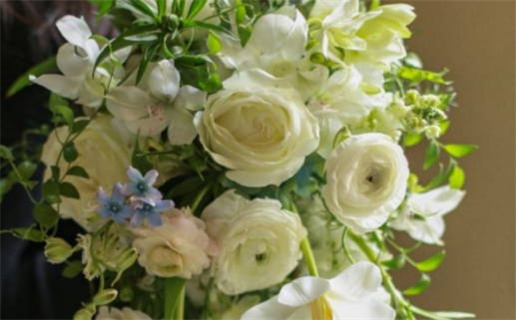 1994年出生的人是什么命_属狗的1994年出生的人是什么命