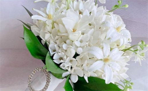 属猪三月出生是什么命_属猪三月出生是什么命运