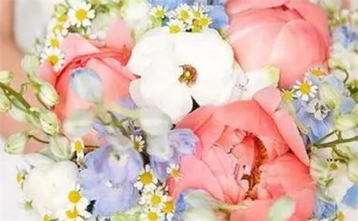 九月属虎人的命运分析与性格解析