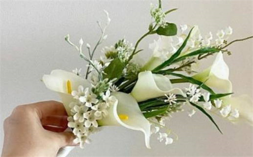 1996年属猪人的命理解析与性格特点