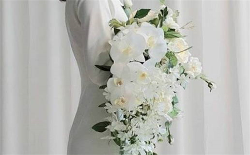 清奇巧妙之命是什么意思(清奇巧妙之命解释)