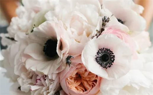 73年属牛人的命运解析与运势指南