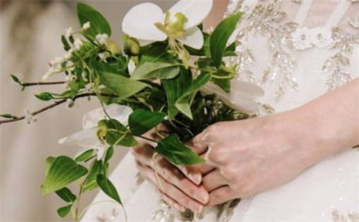 属马人双马命什么意思