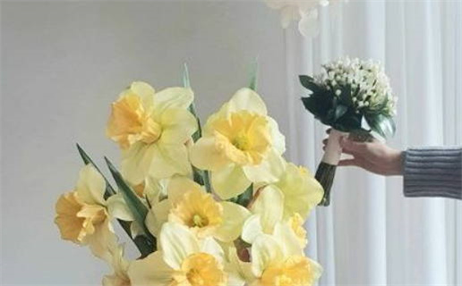 1987年属兔是什么命女(1987年属兔是什么命女六月生)