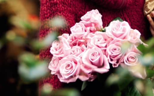 命短生肖揭秘哪些生肖容易命短