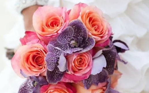 2017是什么命年_2017是什么命年?五行属什么?