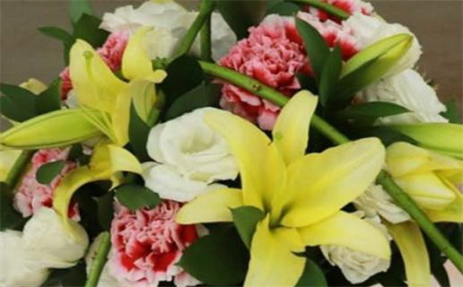 给命主贵显的含义及其影响解析