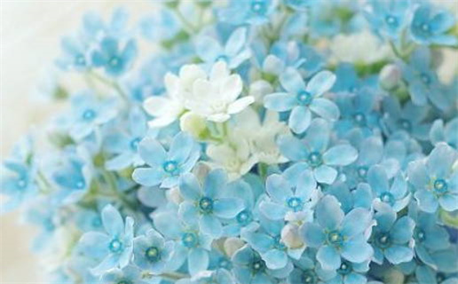 2015年属马命运解析和性格特点揭秘