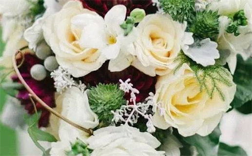 1996是什么命年_1996年是什么命年