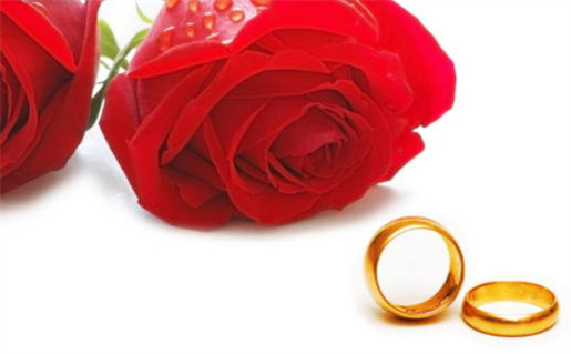 出生日期查属什么命