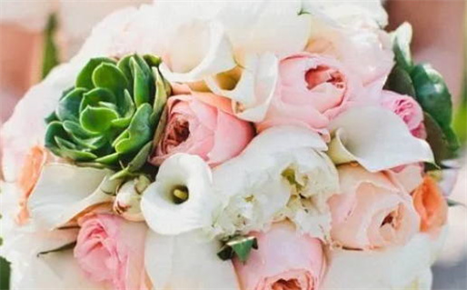 长者续命是什么意思_长者续命是什么意思