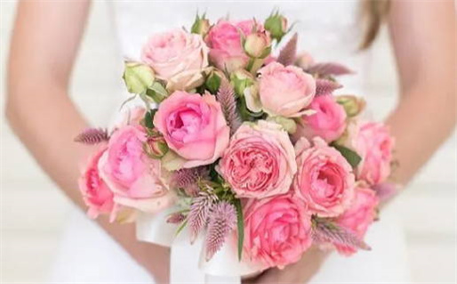 给九条命结局深度解析与反思人生意义