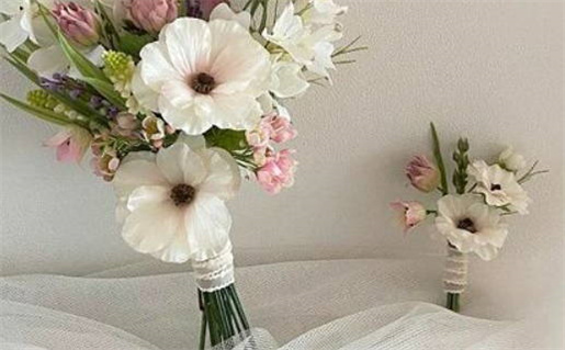 清秀命的女人命理解析与生活启示