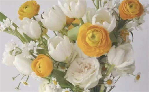 25岁鸡年命运解析与人生建议