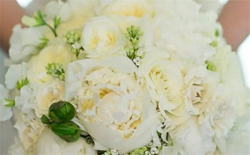 2019年属猪的命理解析与运势运用指南