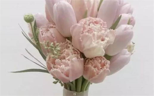 簸箕命运解析揭示你的生命象征与运势特点