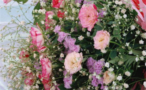 海中金命和什么命相生_海中金命与什么命相生