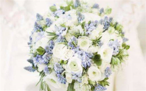 2008年什么命人(2008年啥命人)