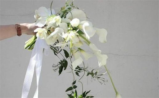 大驿土命适合戴什么