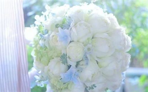 什么命和什么命相克(什么命和什么命相克?)