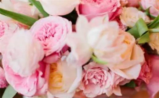 18年的狗是什么命(18年的狗是什么命 五行属什么)