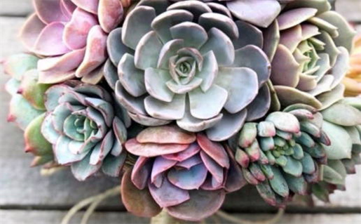 2026年的黄道吉日查询_2026年的黄道吉日查询表