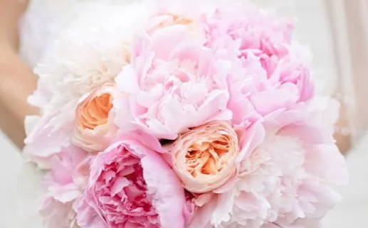 玄不救非 氪不改命什么意思_玄不救非氪不改命什么意思