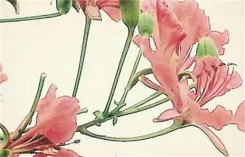 2030年02月28日动土黄历查询