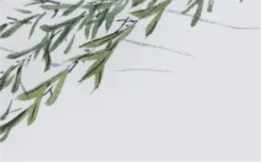 2046年11月09日动土指南：不宜动土的原因与建议