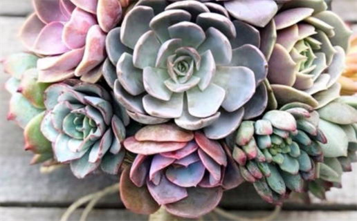 2030年04月06日结婚黄历查询 2030年04月06日结婚黄历查询