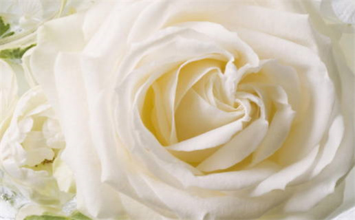 2026年04月12日结婚黄历查询