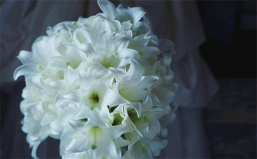 2030年04月08日结婚黄历查询 2030年04月08日结婚黄历查询