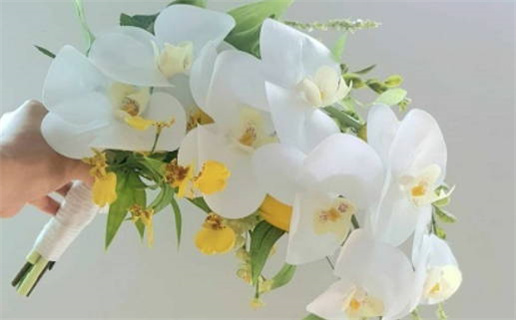 2028年01月25日结婚黄历查询