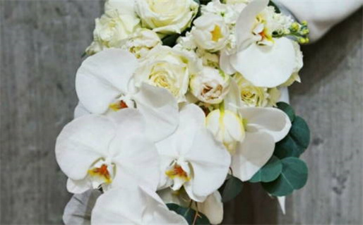 2028年08月16日结婚黄历查询