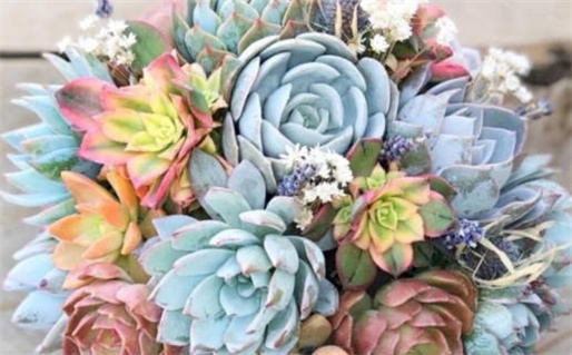 2029年01月26日结婚黄历查询