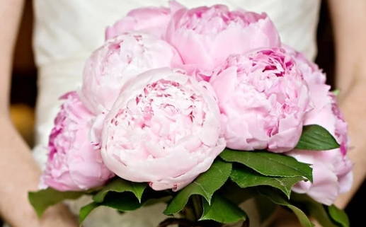 2029年10月03日领证黄历查询