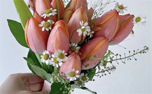 农历二〇二九年二月十一黄历不适宜登记结婚吗,领证好日子查询