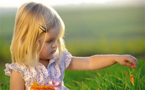 【精选】李姓才华横溢的男宝宝名字，含五行八字分析