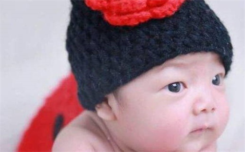 张姓女孩子取名